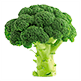 Broccoli 81